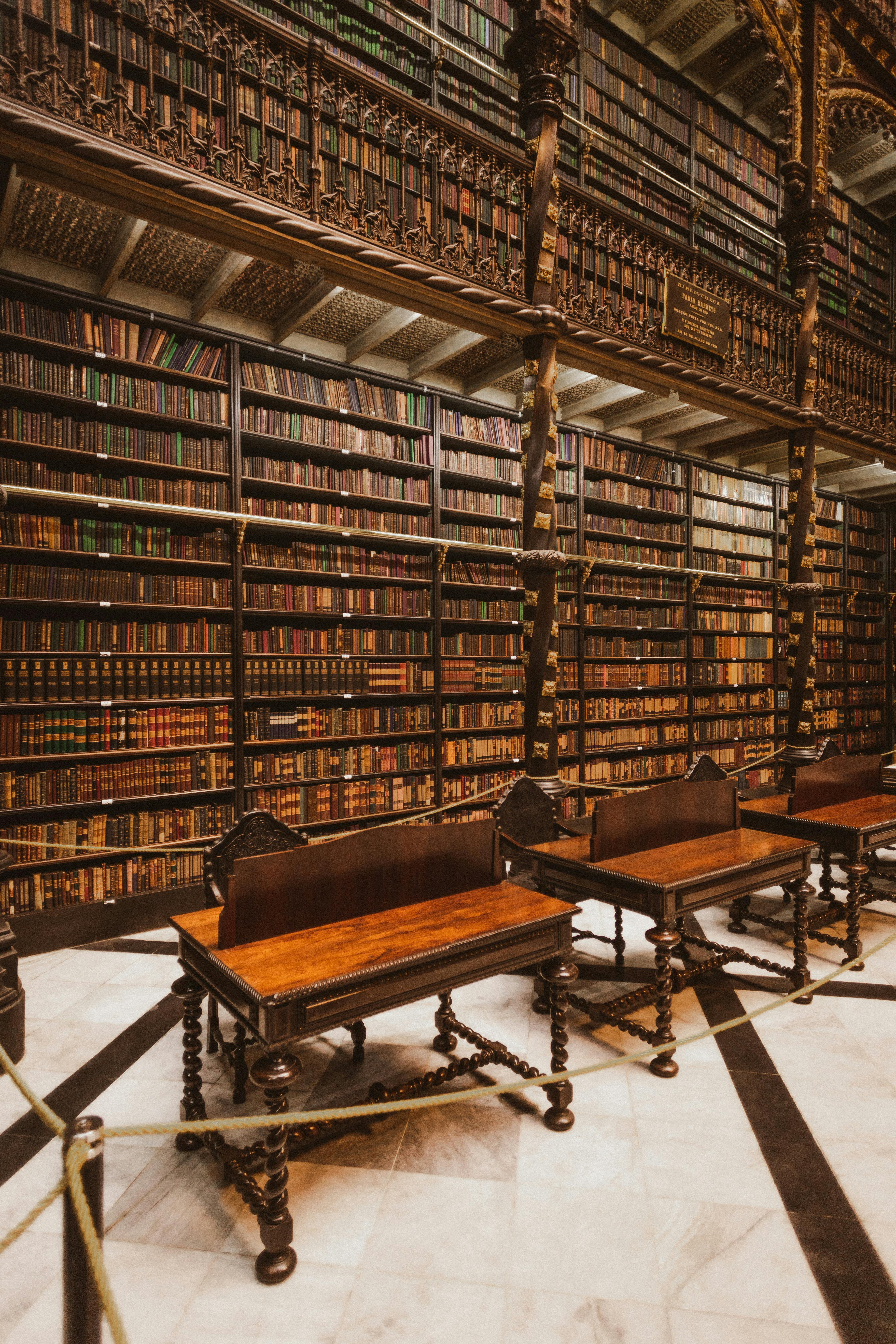 Bookish calm in the library