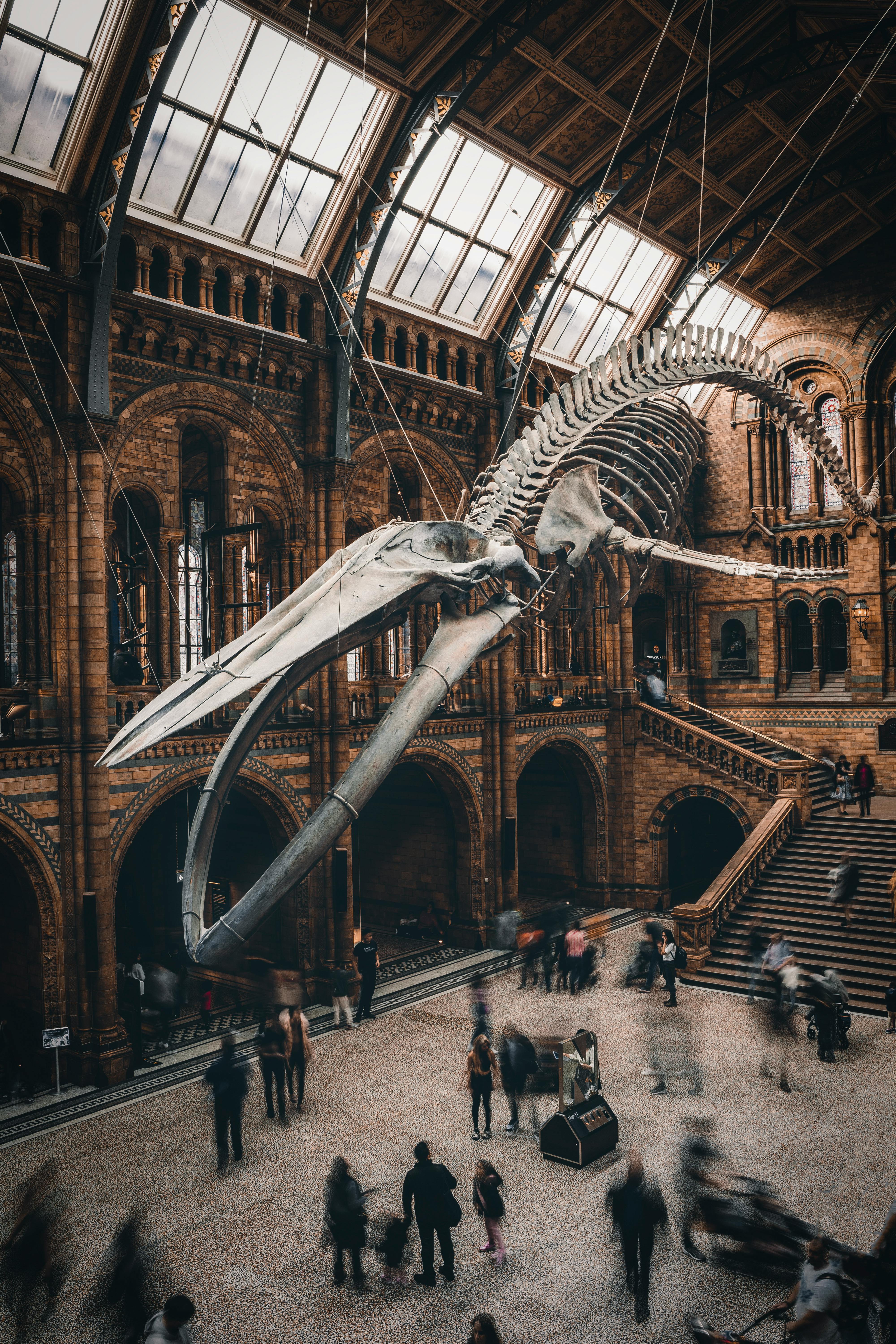 Secrets of the British Museum